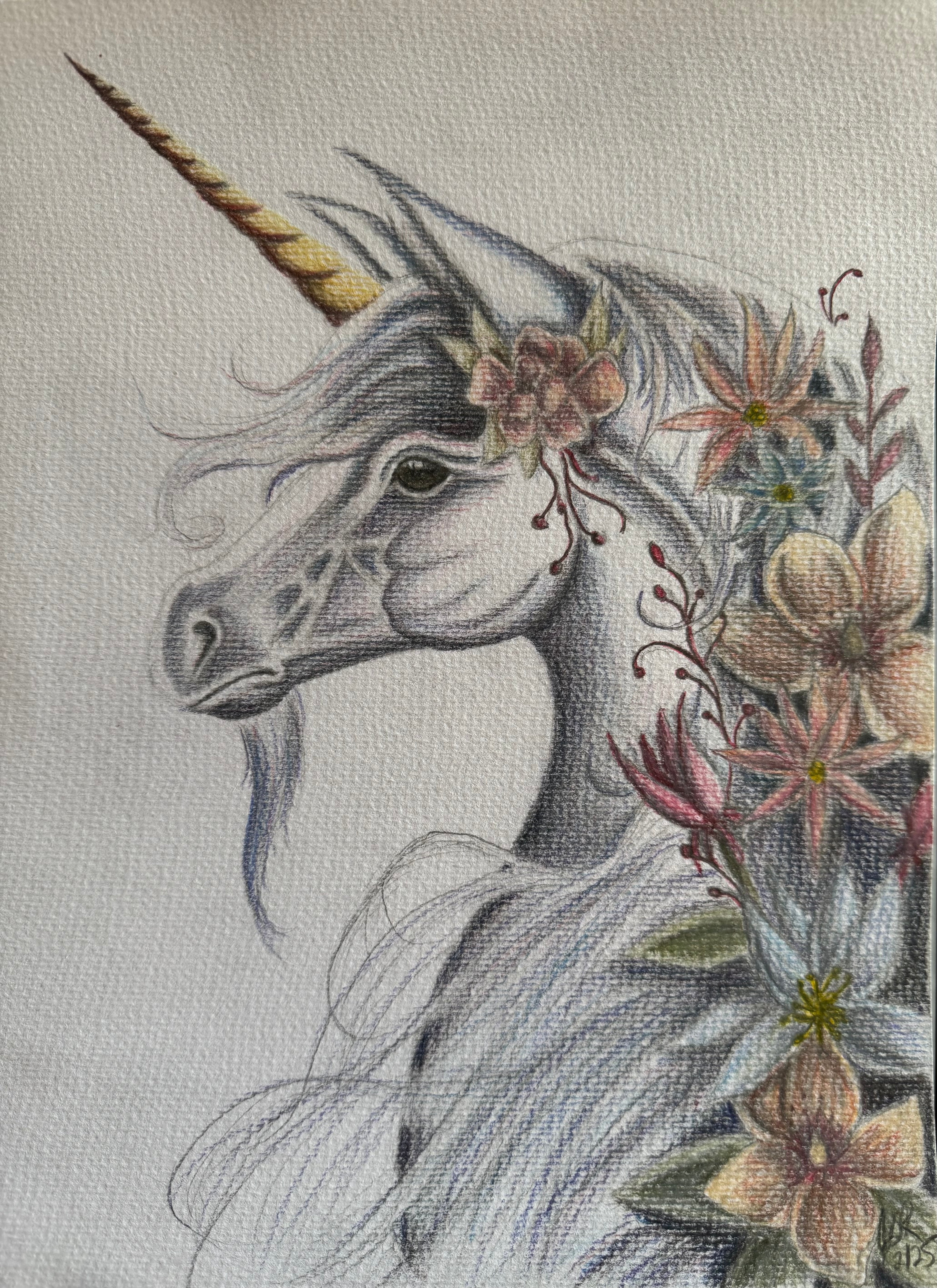 Unicorn Print