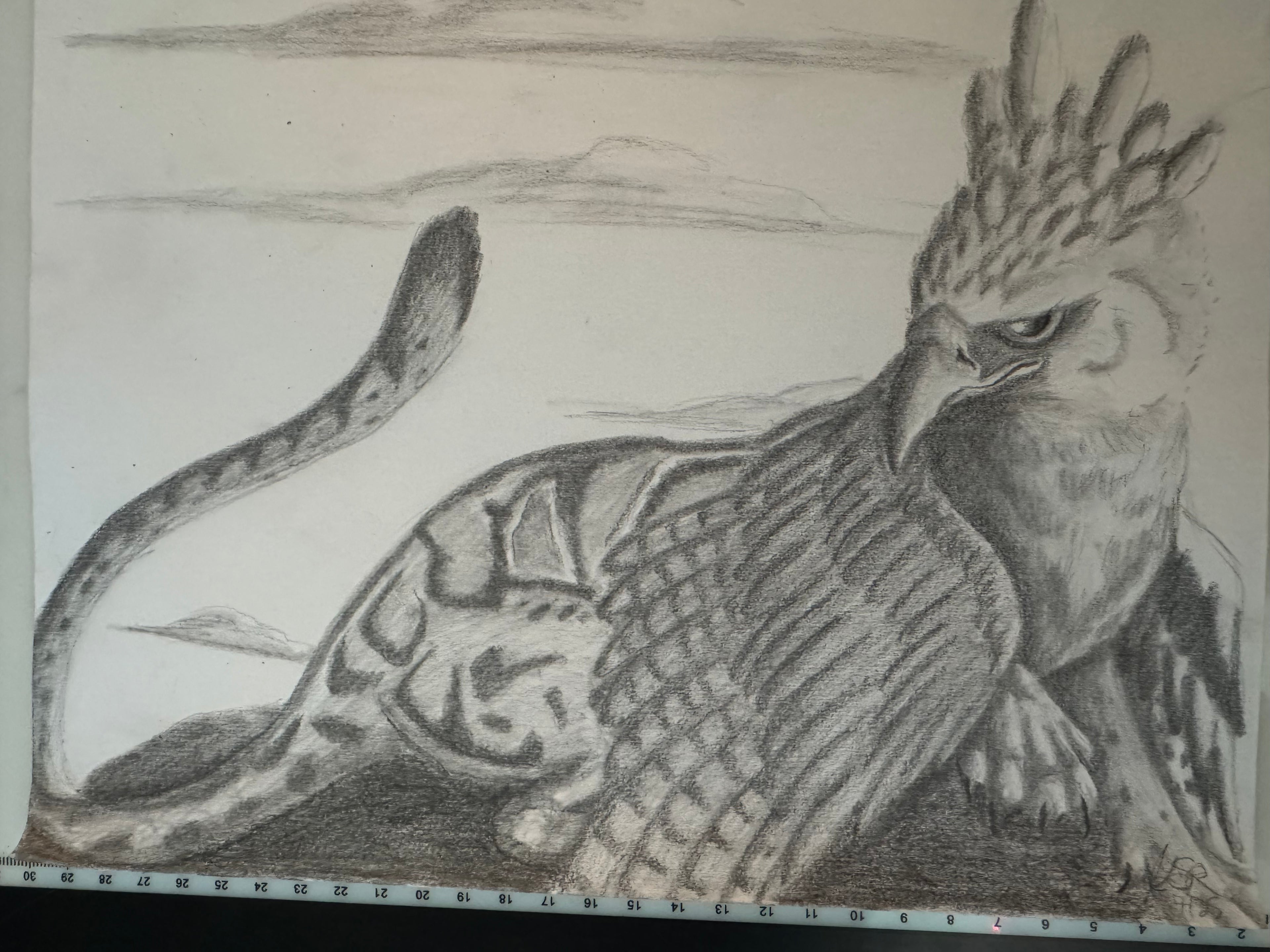 Clouded Harpy print